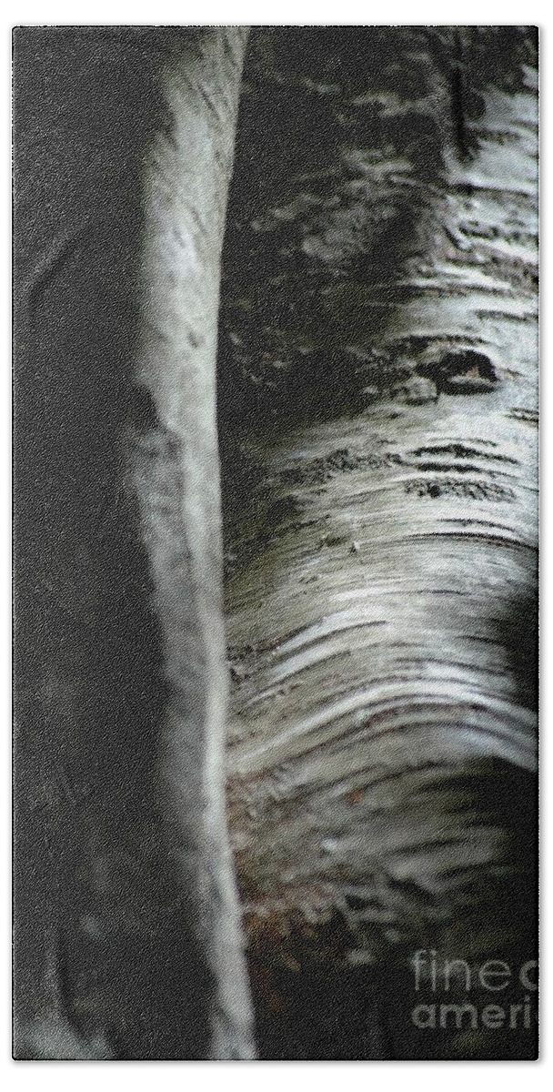 Tree Beach Sheet featuring the photograph Autumn Light #16 by Christiane Hellner-OBrien