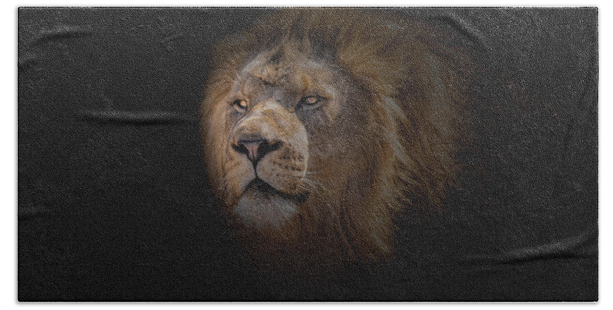 Africa Beach Towel featuring the photograph African Lion by Peter Lakomy