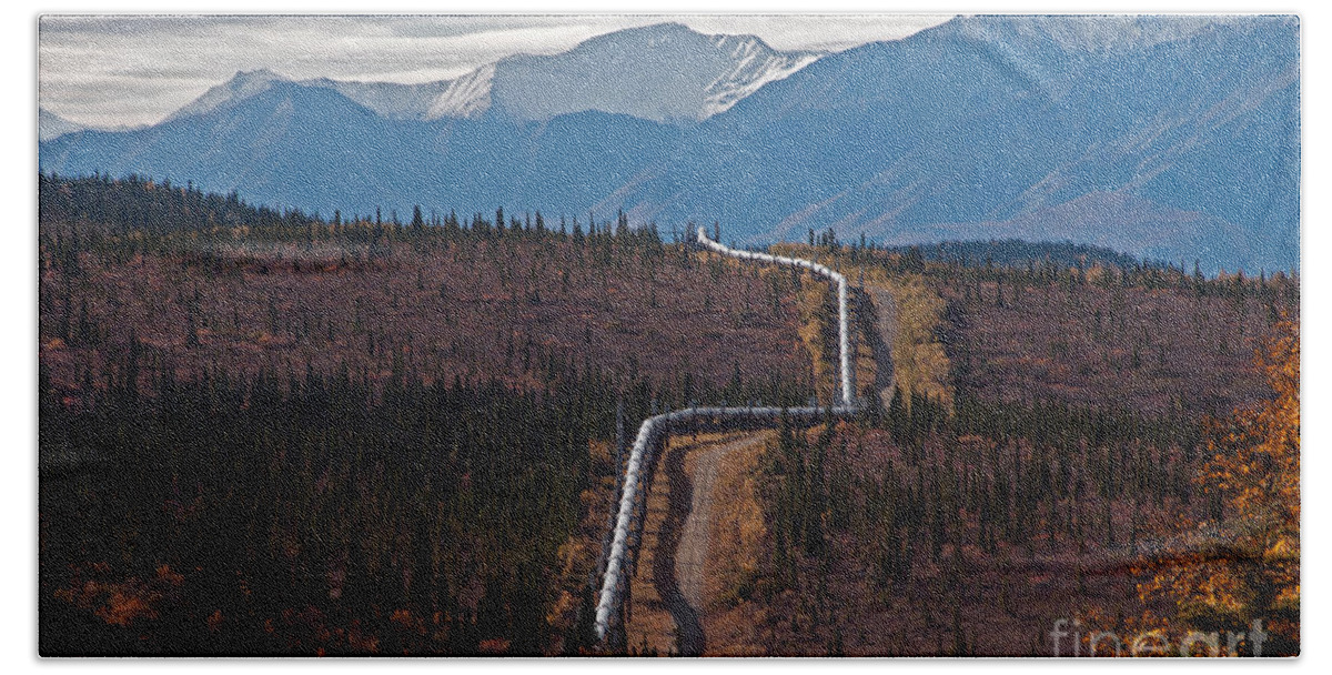 Nature Beach Towel featuring the photograph Alaska Oil Pipeline #2 by Mark Newman