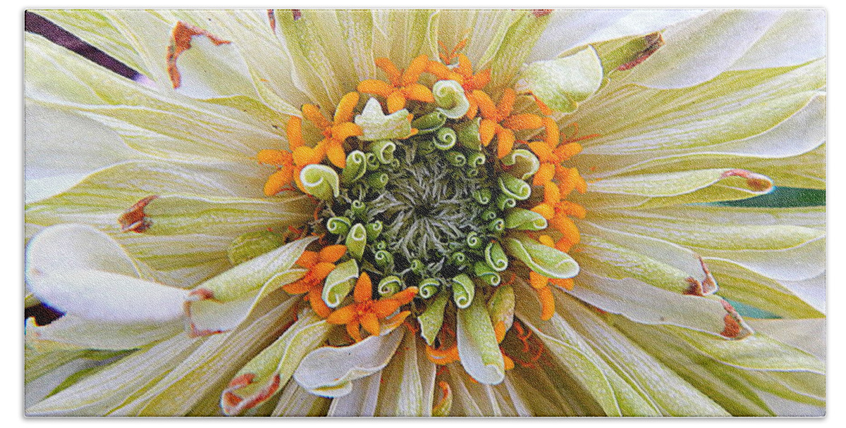 Nola Beach Sheet featuring the photograph Chrysanthemum Fall In New Orleans Louisiana by Michael Hoard