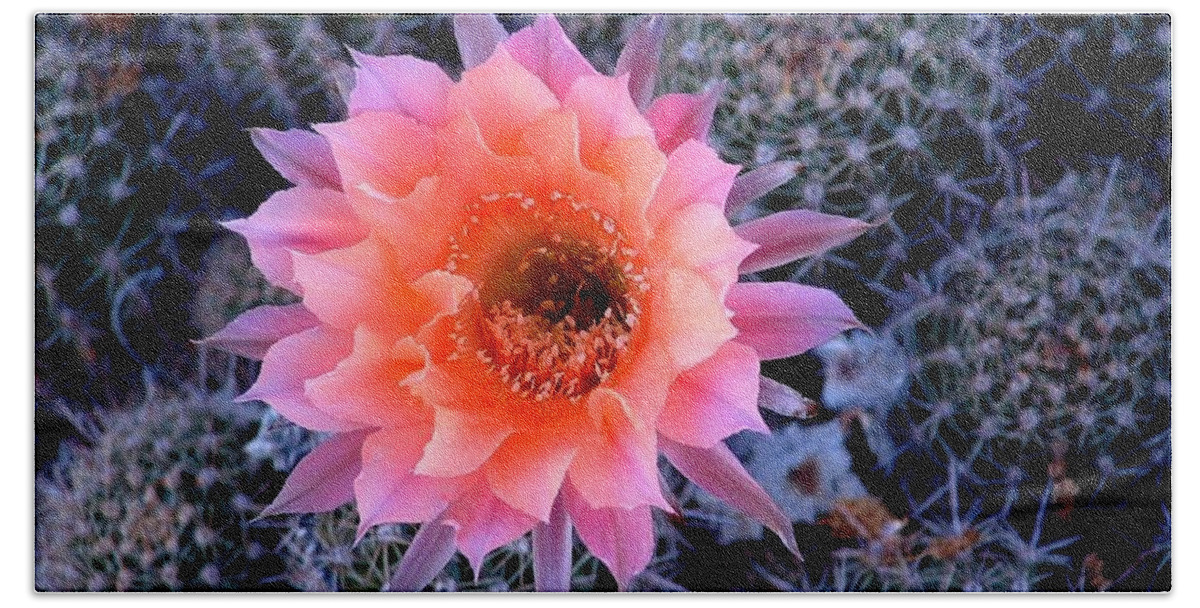 Cactus Beach Sheet featuring the photograph Desert Beauty #2 by Marilyn Smith