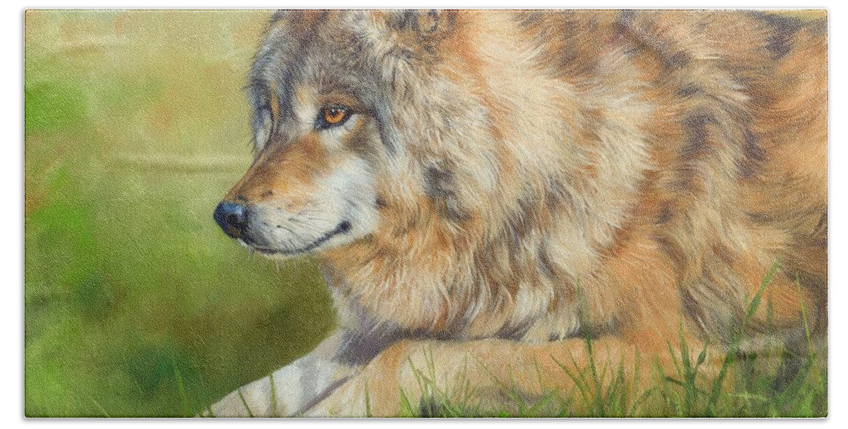 Wolf Beach Sheet featuring the painting Grey Wolf #2 by David Stribbling