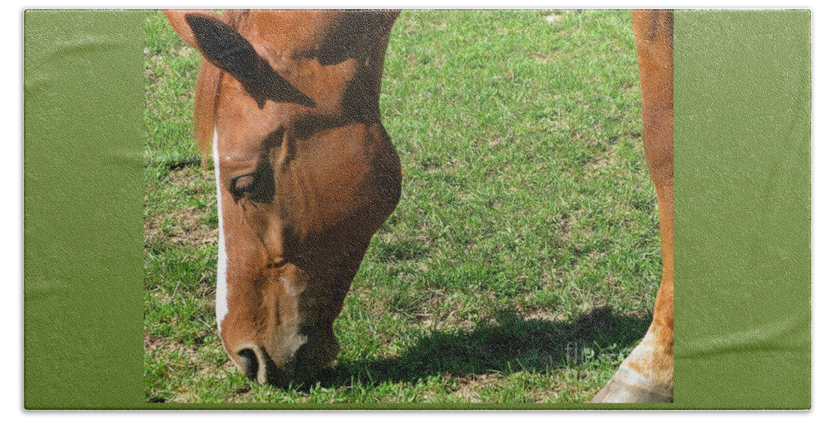 Horse Beach Towel featuring the photograph In Green Pasture by Ann Horn