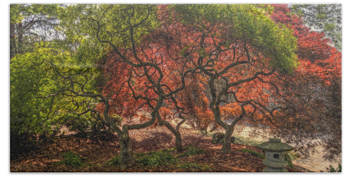 Japanese Maple Tree Beach Towel featuring the photograph Japanese Maple Tree #2 by Jerry Gammon