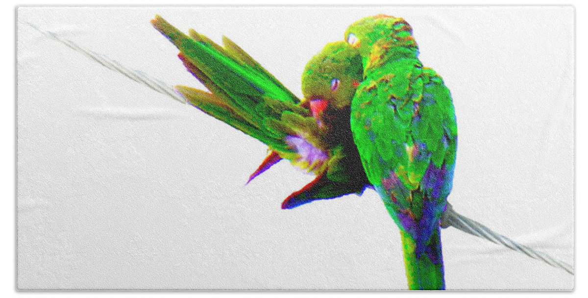 Parrot Beach Towel featuring the photograph Love Birds #2 by Culture Cruxxx