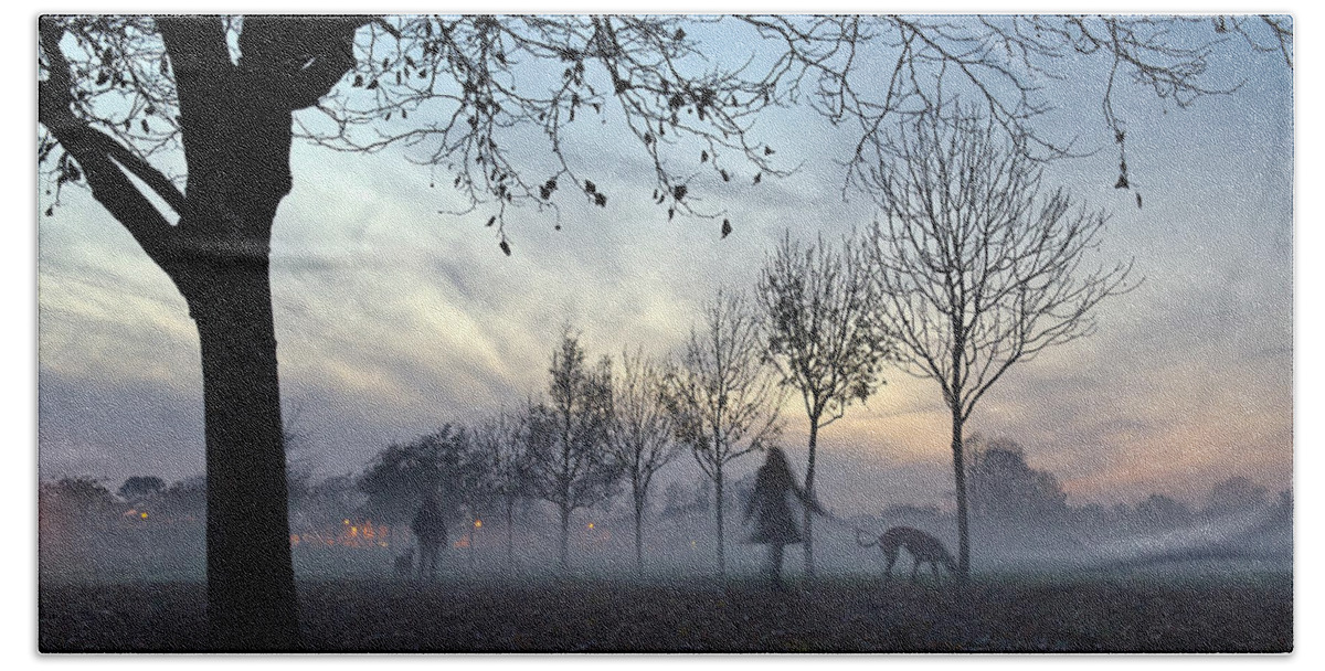 Dogs Beach Towel featuring the photograph Misty afternoon in the park #2 by Gary Eason
