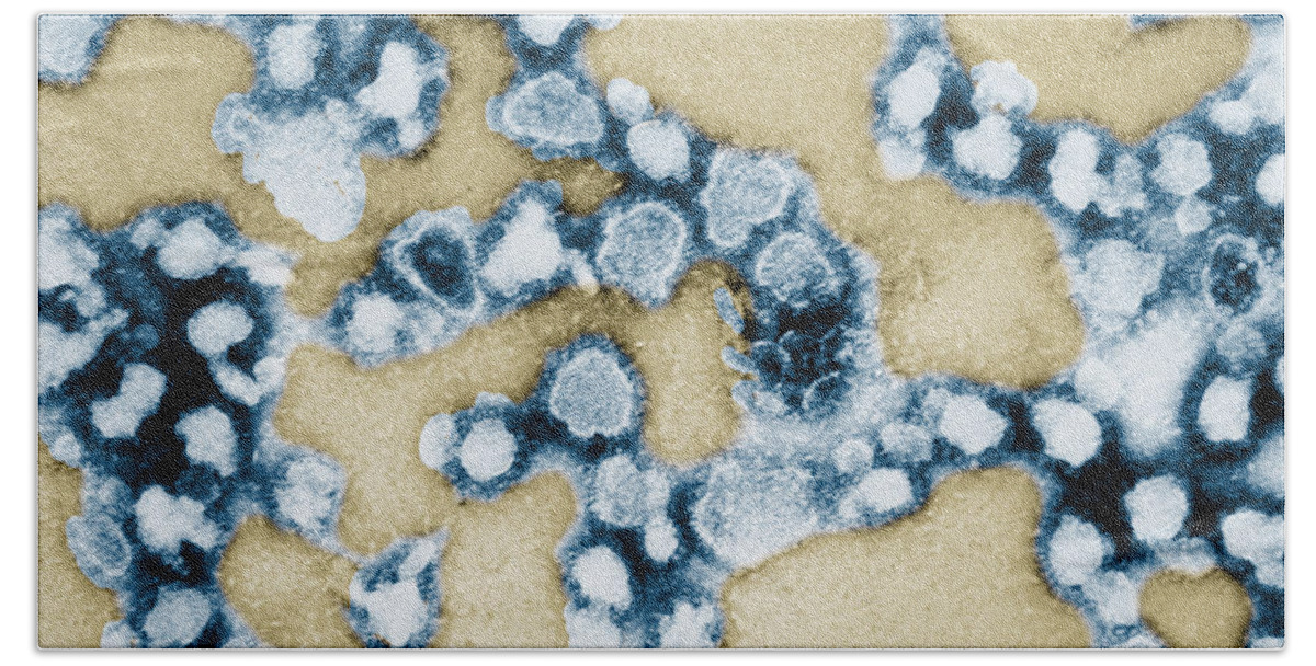 Micrograph Beach Sheet featuring the photograph Tem Of La Crosse Encephalitis #2 by Science Source