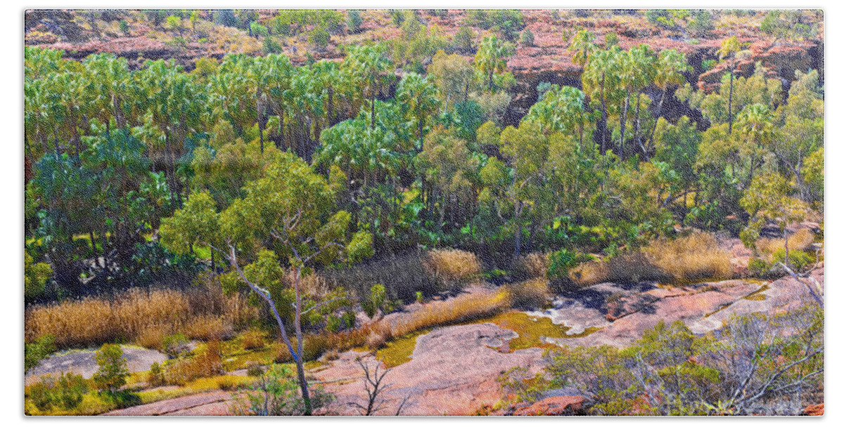 Palm Valley Central Australia Outback Landscape Australian Trees Beach Towel featuring the photograph Palm Valley Central Australia #20 by Bill Robinson