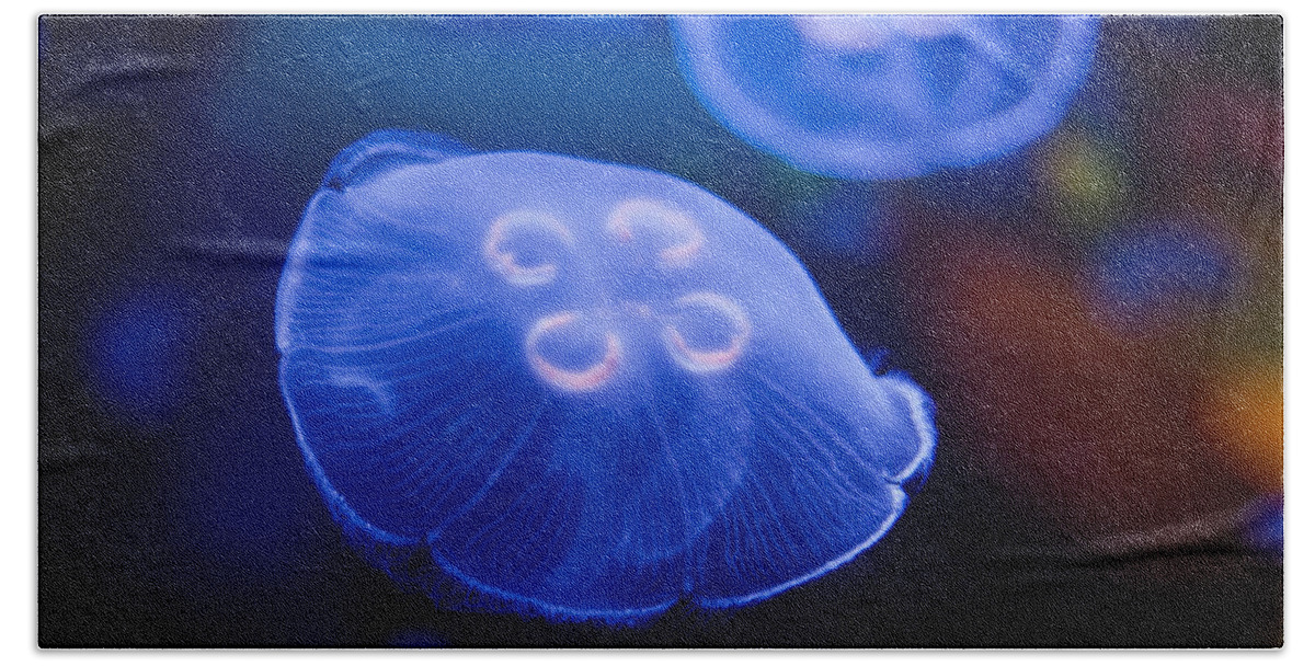 Jellyfish Beach Towel featuring the photograph Jellyfish #23 by U Schade