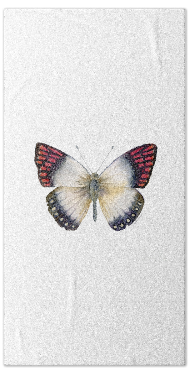 Magenta Beach Towel featuring the painting 27 Magenta Tip Butterfly by Amy Kirkpatrick