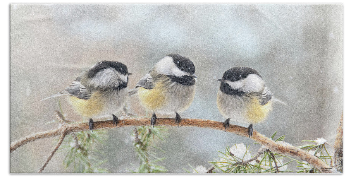 3 Chickadees Beach Towel featuring the photograph 3 Chickadees on a Snowy Day by Peg Runyan
