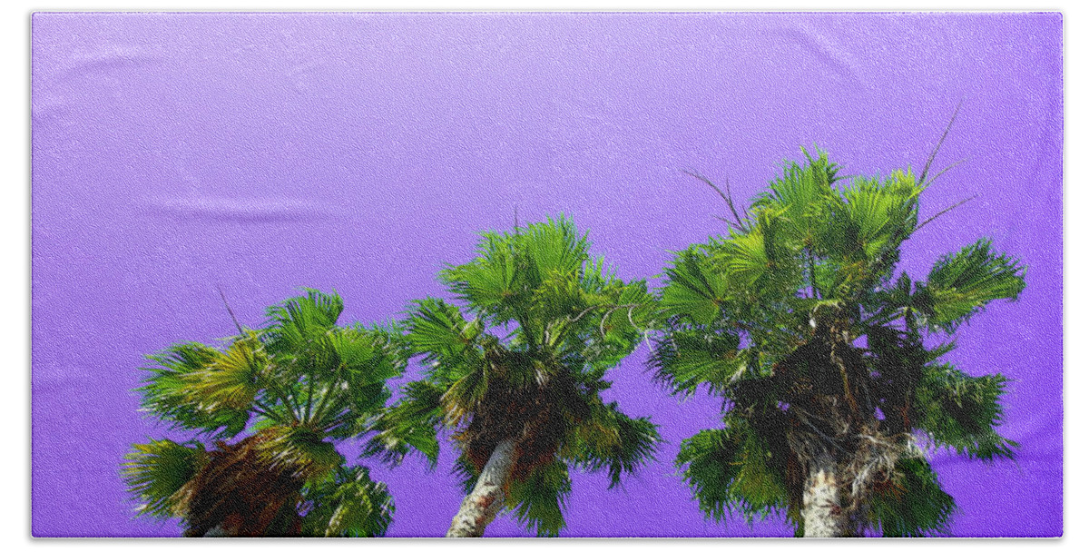 Palm Tree Florida Island Beach Sand Miami South Beach Caribbean Exotic Pop Art Sun Ocean Islands  Beach Sheet featuring the photograph 3 Palms by Culture Cruxxx