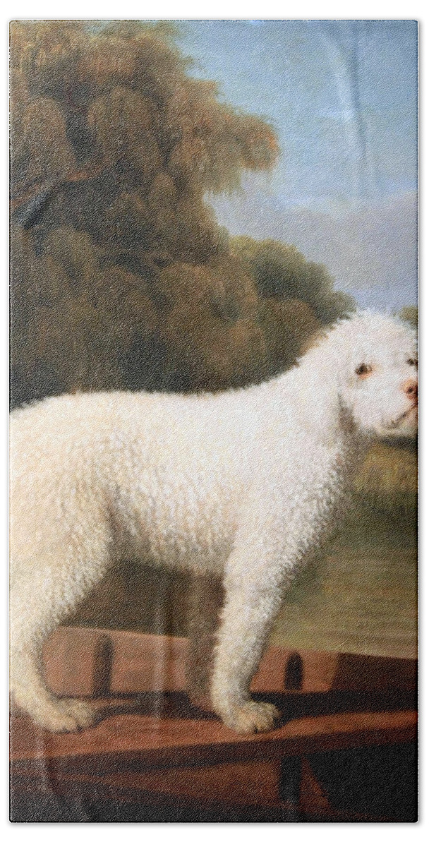 White Poodle In A Punt Beach Sheet featuring the photograph Stubbs' White Poodle In A Punt by Cora Wandel