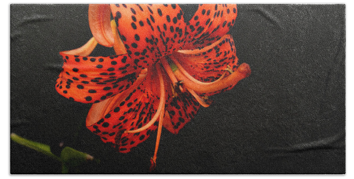 Flower Beach Towel featuring the photograph Tiger Lily #3 by Sandy Keeton