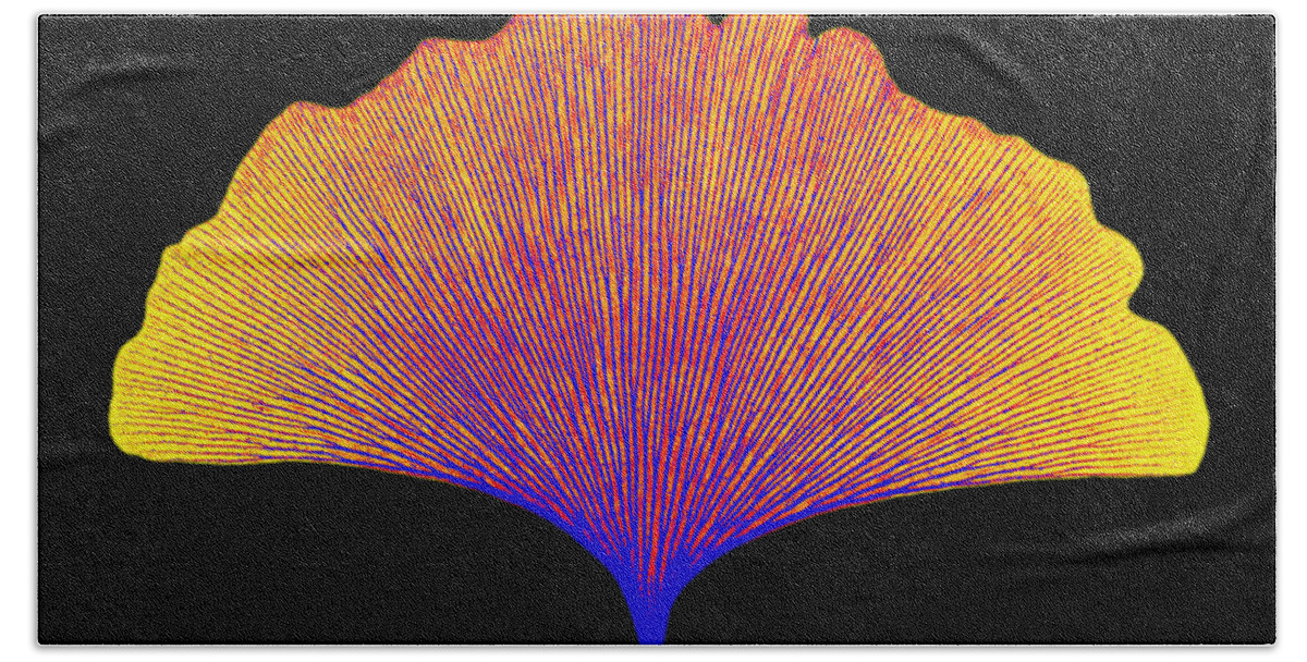 Radiograph Beach Towel featuring the photograph X-ray Of Ginkgo Leaf #3 by Bert Myers