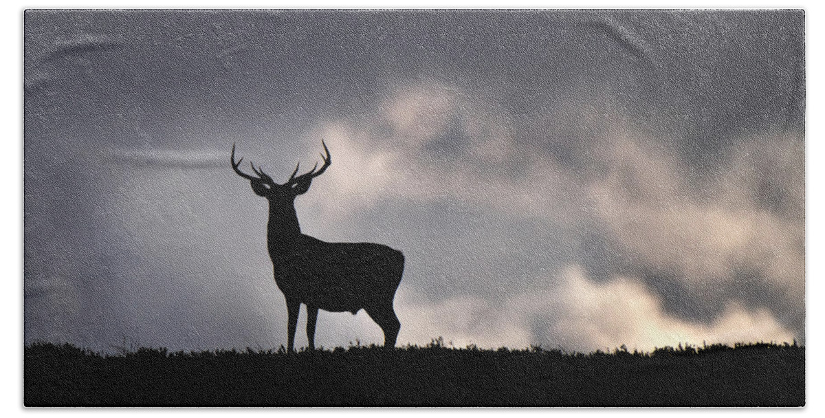 Stag Silhouette Beach Sheet featuring the photograph Stag Silhouette #4 by Gavin Macrae