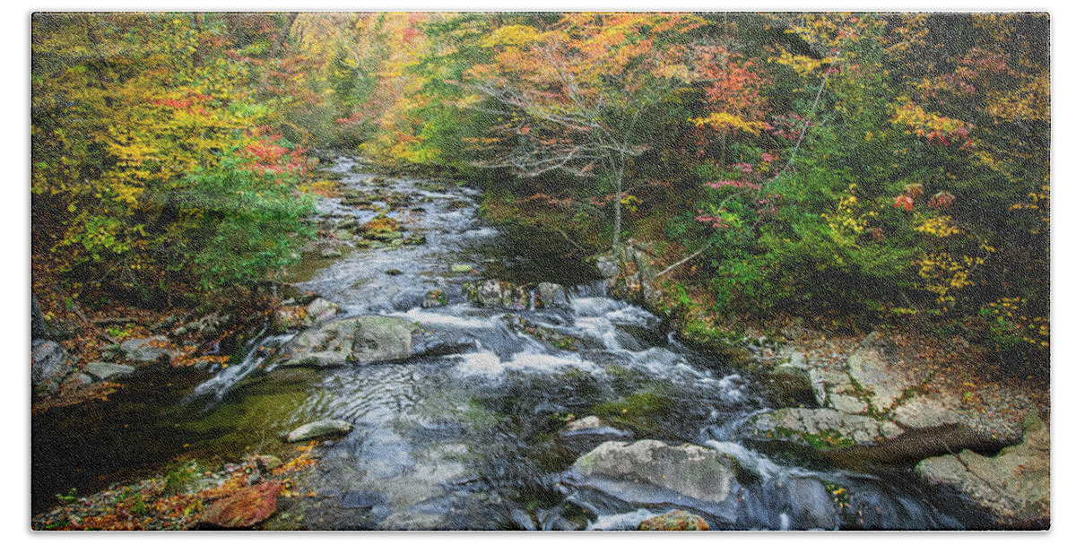 Stream Beach Towel featuring the photograph Stream Great Smoky Mountains Painted #4 by Rich Franco