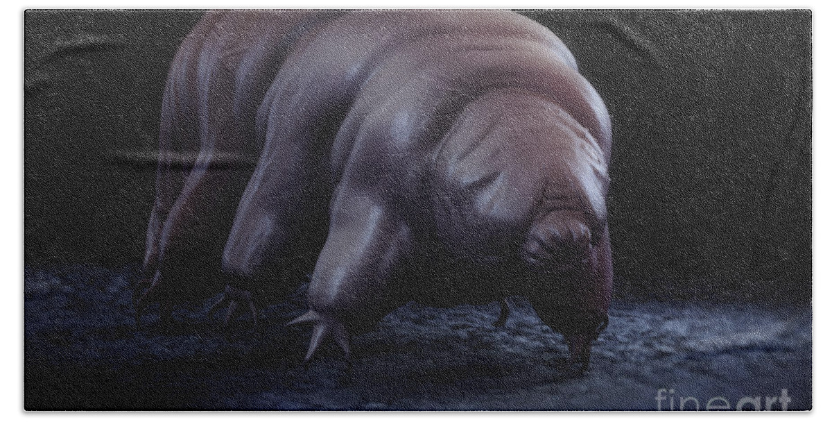 Protostomia Beach Towel featuring the photograph Water Bear Tardigrades #5 by Science Picture Co