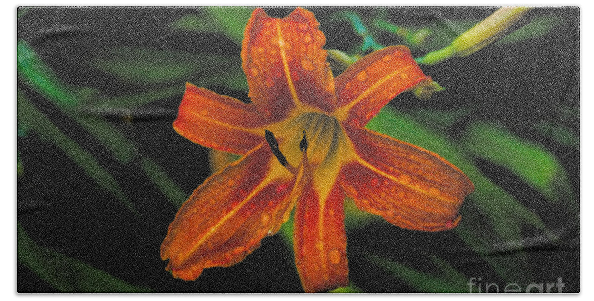 Day Lilly Beach Towel featuring the photograph Day Lilly #6 by William Norton