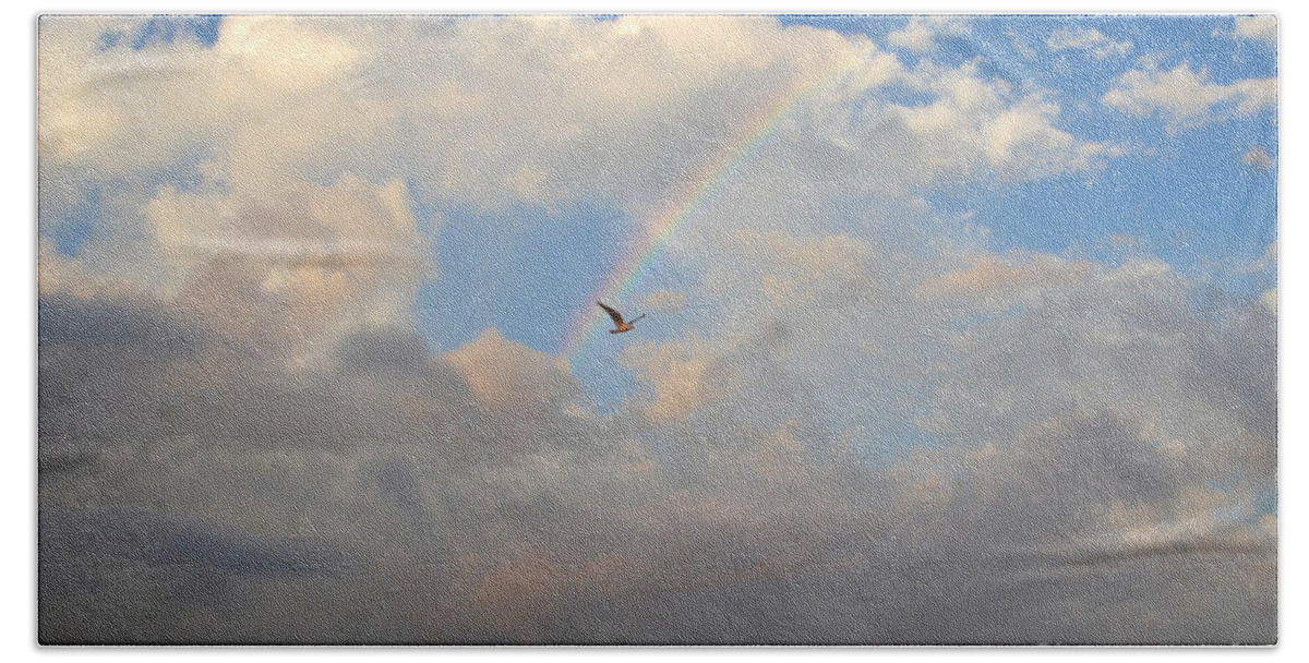 Rainbow Beach Towel featuring the photograph 6- Rainbow and Seagull by Joseph Keane