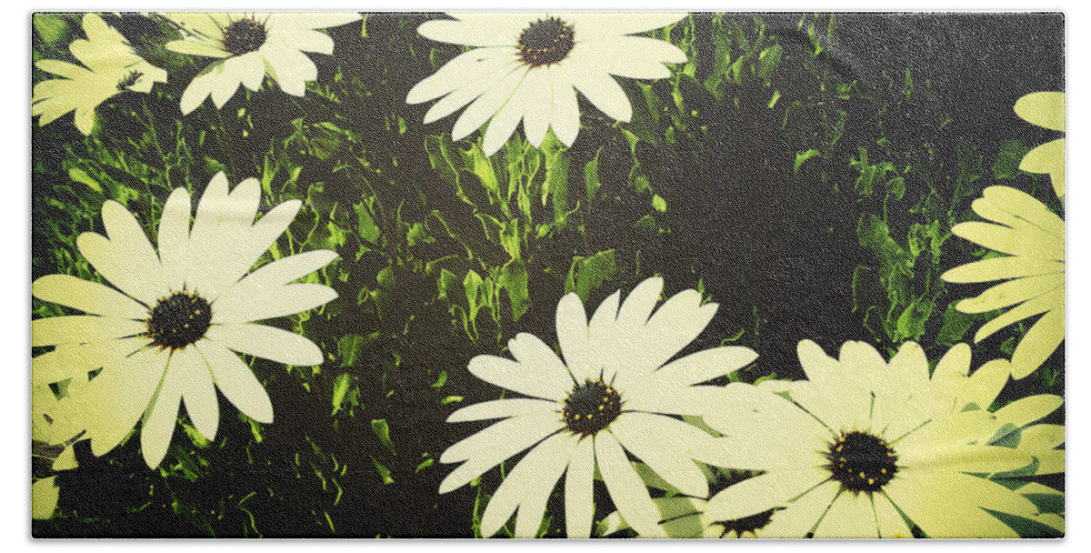 Bloom Beach Sheet featuring the photograph Daisies #7 by Les Cunliffe