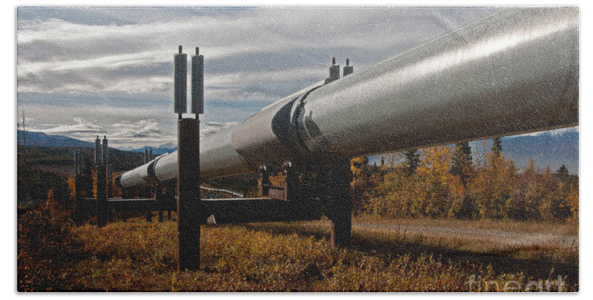 Nature Beach Towel featuring the photograph Alaska Oil Pipeline #8 by Mark Newman