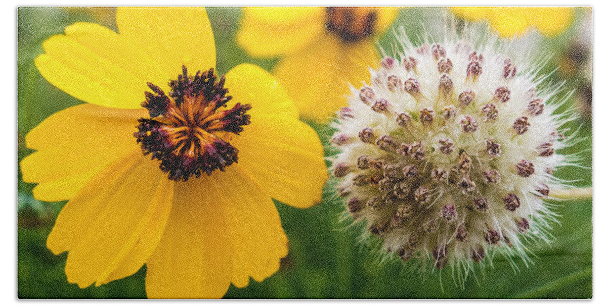 Stem Beach Towel featuring the photograph Wildflowers #18 by Melinda Ledsome