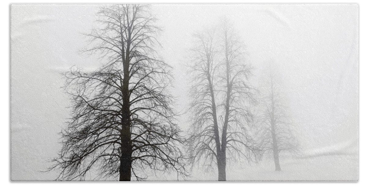 Trees Beach Towel featuring the photograph Winter trees in fog 1 by Elena Elisseeva