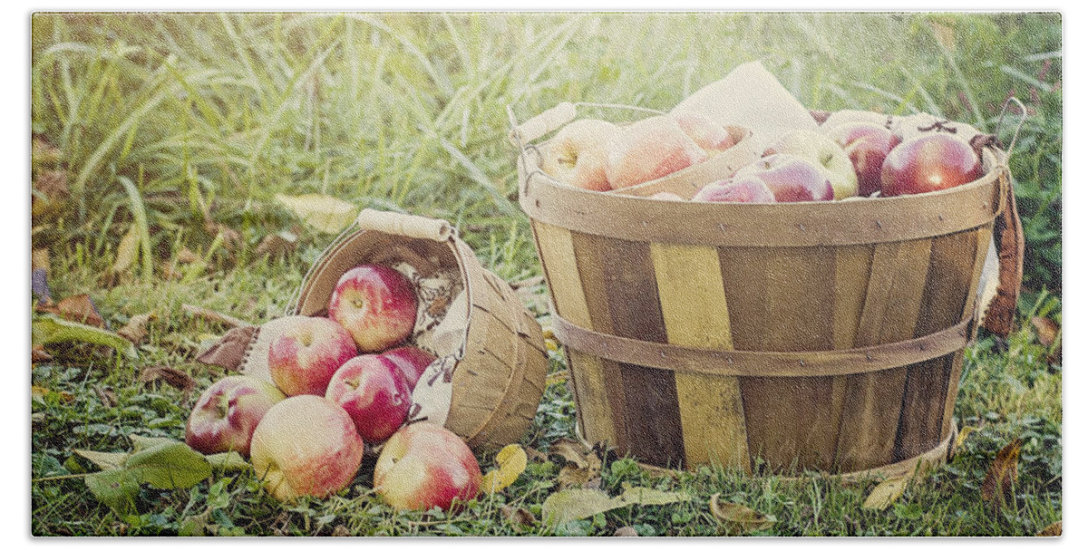 Peck Of Apples Beach Towel featuring the photograph A Bushel and a Peck by Heather Applegate