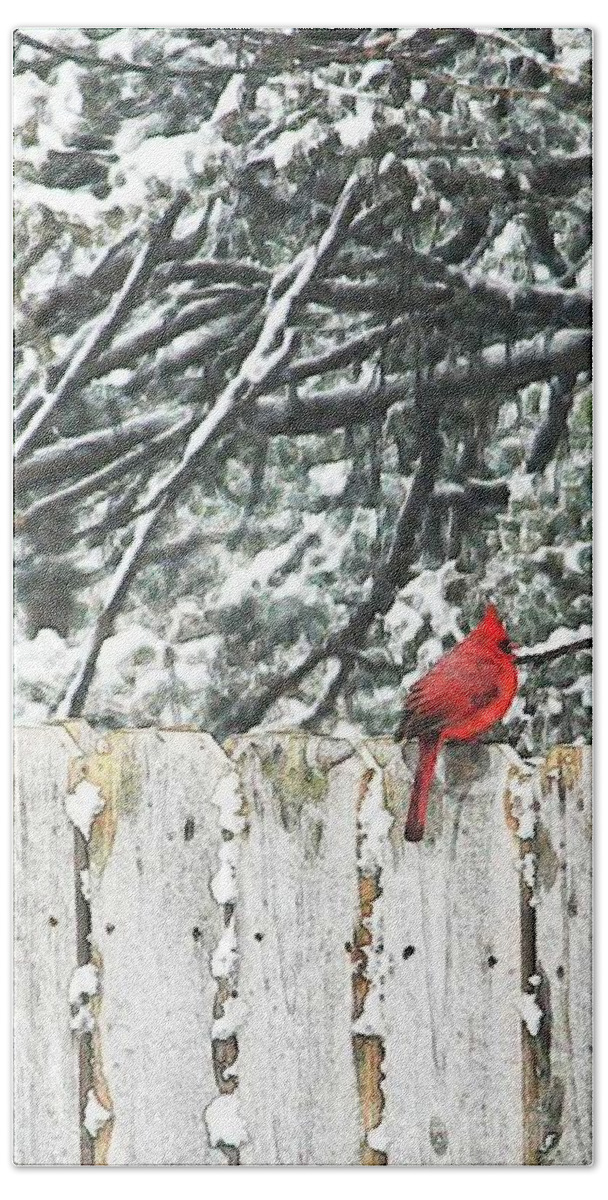 Christmas Beach Sheet featuring the painting A Christmas Cardinal by PainterArtist FIN