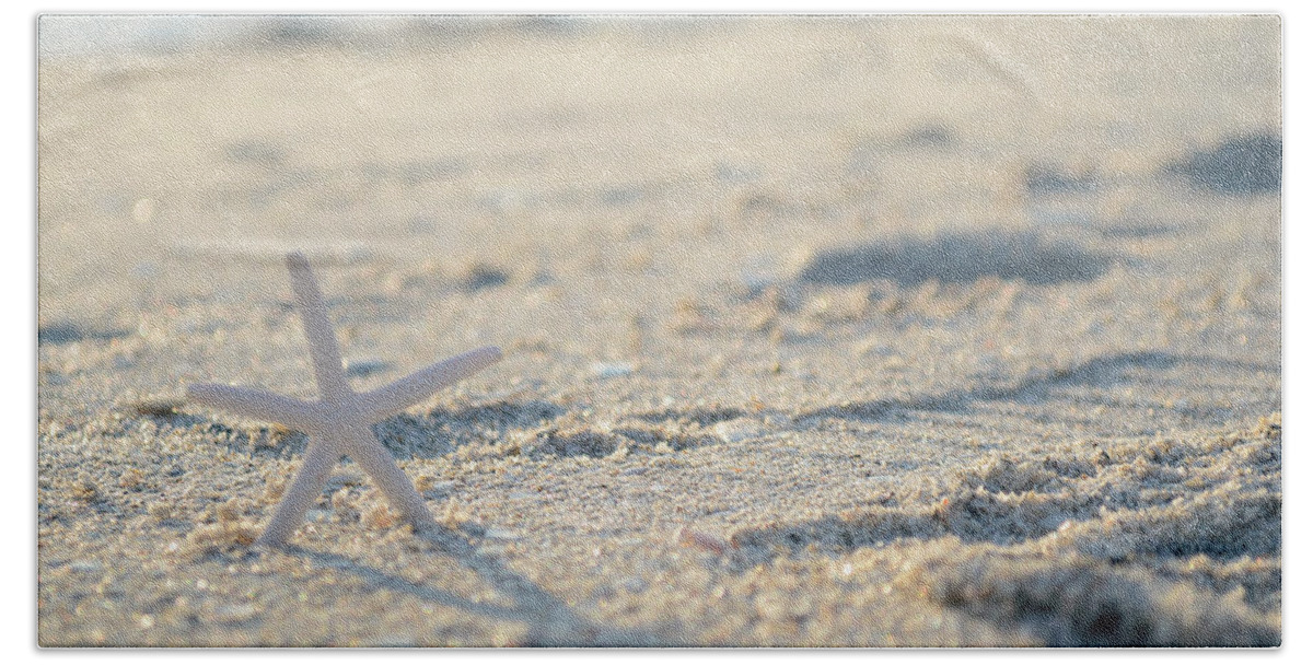 Beach Beach Towel featuring the photograph A Gentle Thought by Melanie Moraga