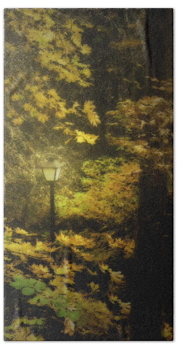 Light Beach Towel featuring the photograph A Light In the Autumnal Forest by Diane Schuster
