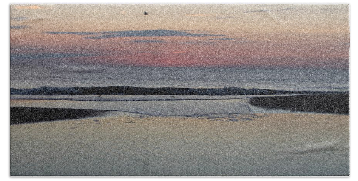 Fauna Beach Towel featuring the photograph A One Seagull Sunrise by Robert Banach