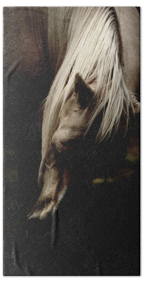 Horse Beach Towel featuring the photograph A Pale Horse by Joseph G Holland