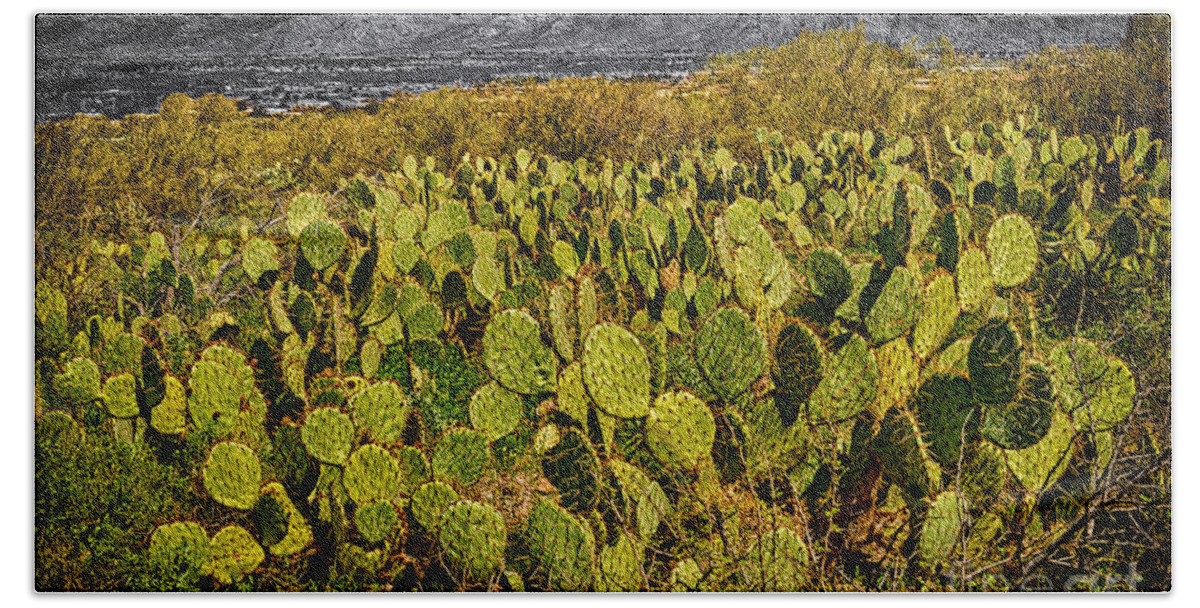 Arizona Beach Towel featuring the photograph A Prickly Pear View by Mark Myhaver