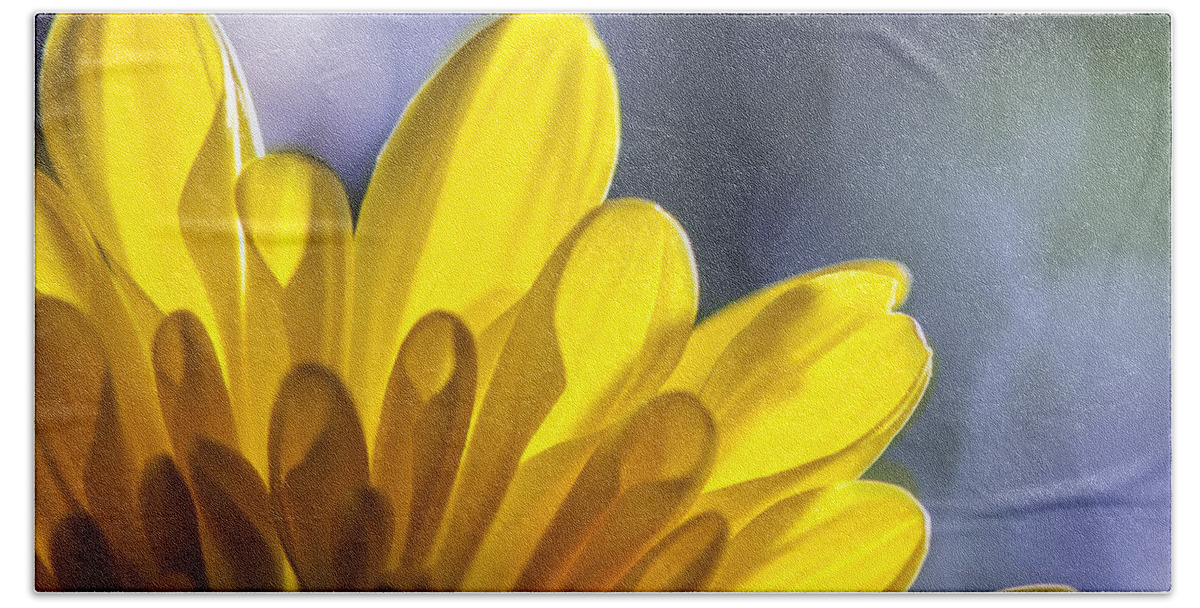 Floral Beach Towel featuring the photograph A Ray Of Sunshine by Sandra Parlow