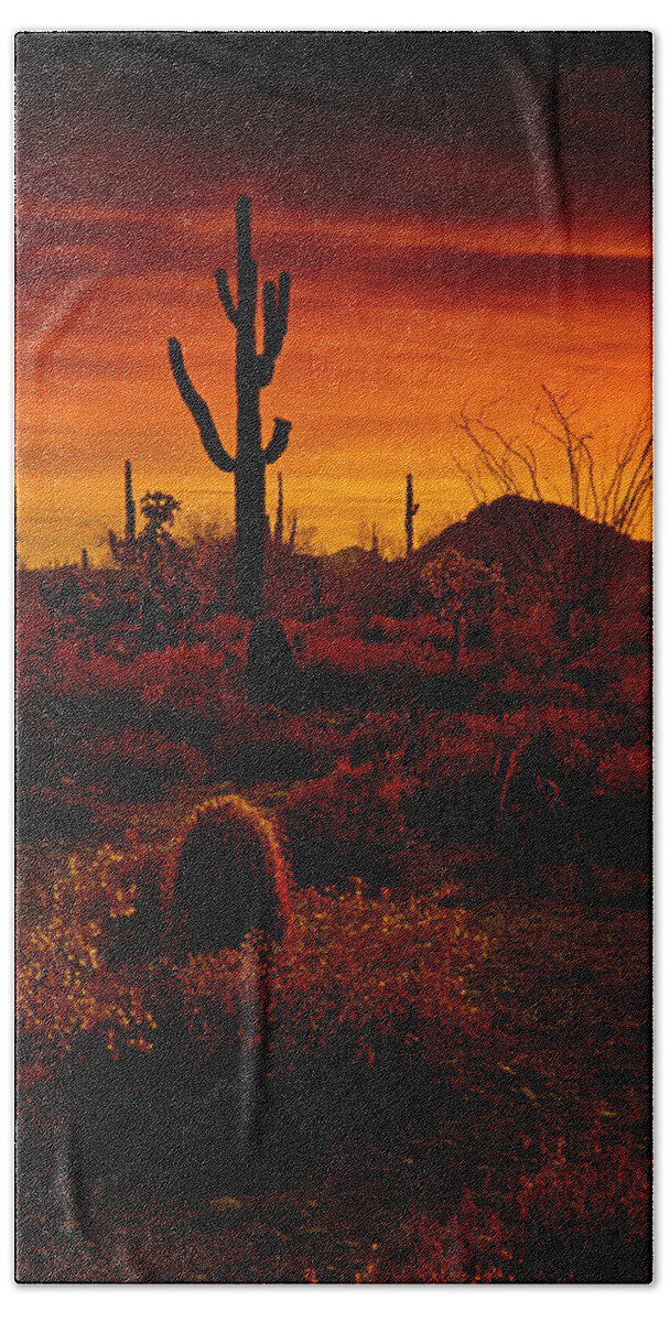 Desert Southwest Beach Sheet featuring the photograph A Red Desert by Saija Lehtonen