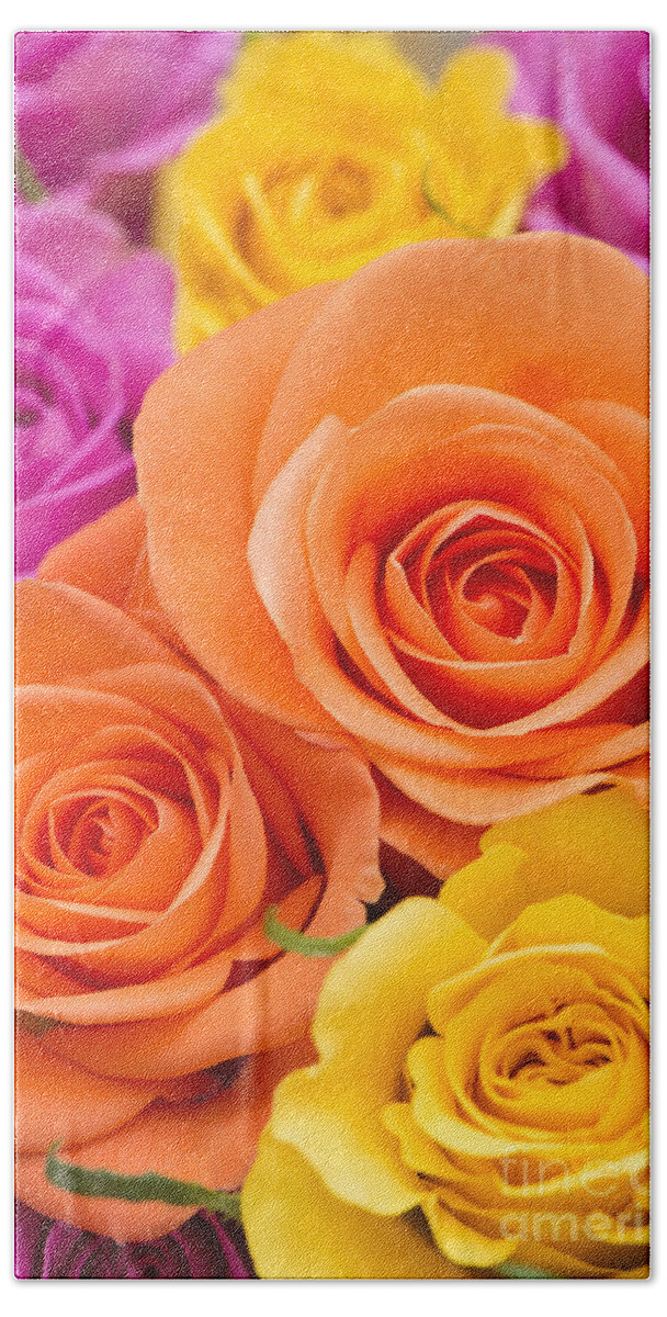 Arranged Beach Towel featuring the photograph A Riot of Roses by Anne Gilbert