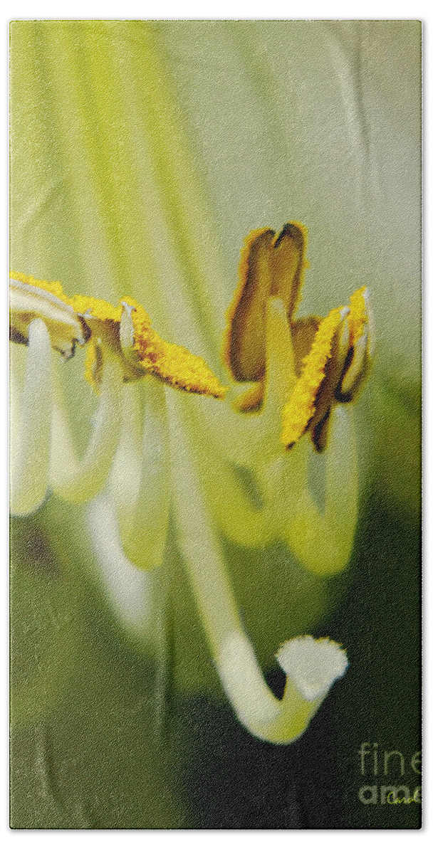 Hosta Beach Sheet featuring the photograph A Single Flower in Full Bloom by Carol F Austin