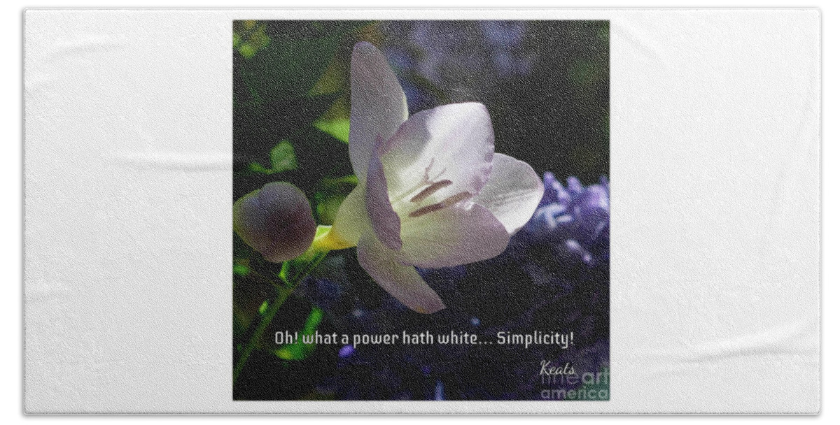 White Flower Beach Towel featuring the photograph A Small White Flower Simplicity by Joan-Violet Stretch