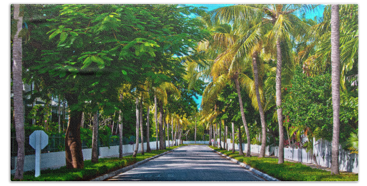 Florida Beach Towel featuring the photograph A Street of Palms by Brenda Jacobs