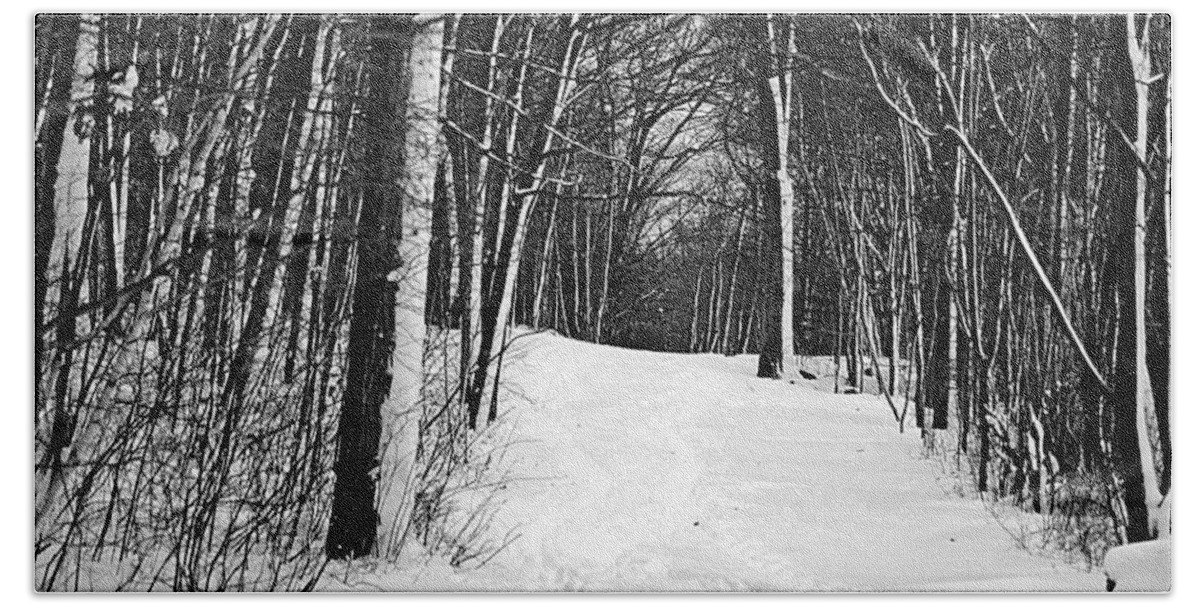Walk Beach Towel featuring the photograph A Walk in Snow by Joe Faherty