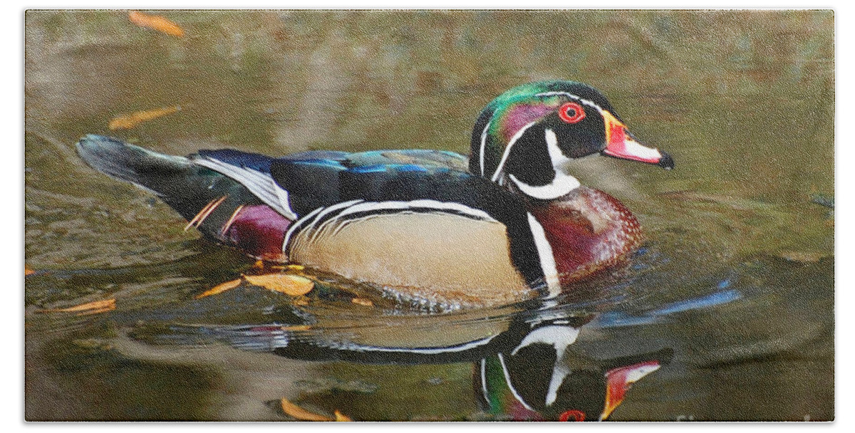 Duck Beach Towel featuring the photograph A Wood Duck And His Reflection by Kathy Baccari