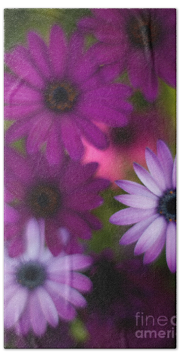 Flower Beach Towel featuring the photograph African Daisy Collage by Mike Reid