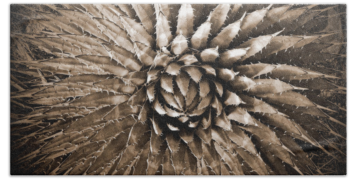 Agave Beach Towel featuring the photograph Agave Spikes Sepia by Alan Socolik