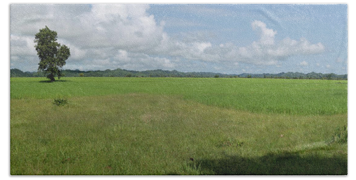 Photography Beach Towel featuring the photograph Agricultural Field Near Mrauk U by Panoramic Images