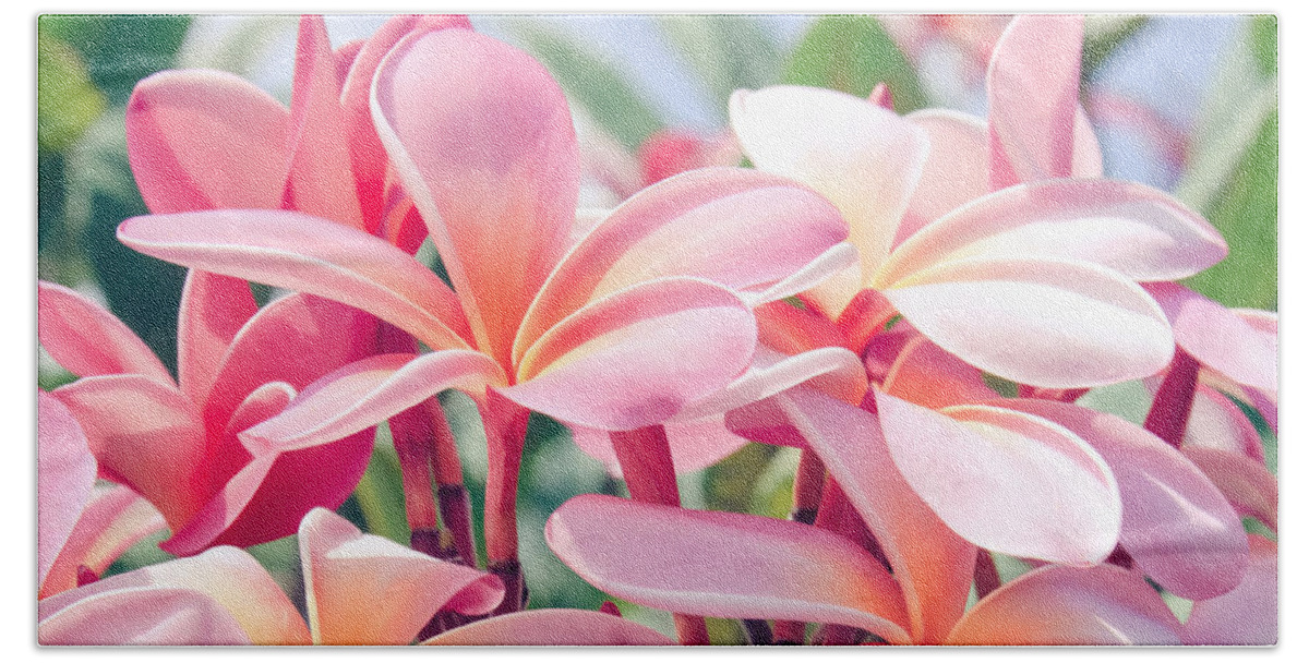 Pink Plumeria Beach Sheet featuring the photograph Aloha by Sharon Mau