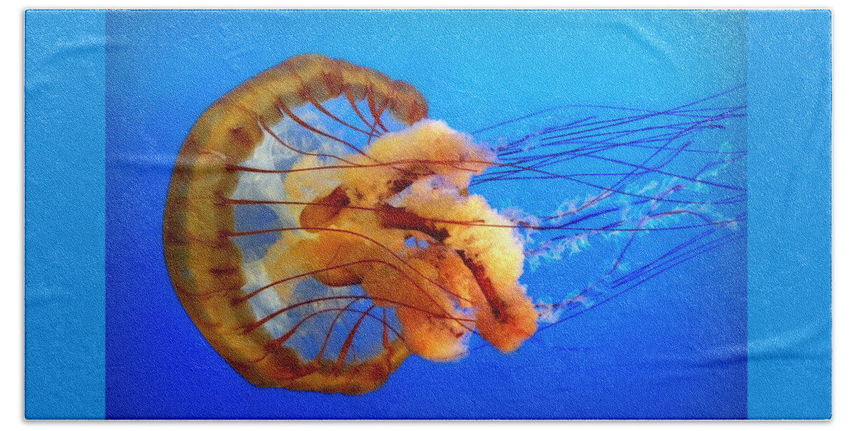 Jellyfish Beach Towel featuring the photograph Amber Seduction by Micki Findlay
