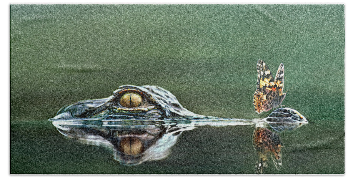 Feb0514 Beach Towel featuring the photograph American Alligator And Butterfly by Tim Fitzharris