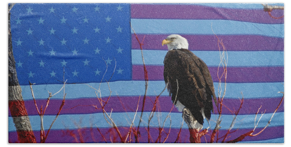 Bald Eagle Beach Towel featuring the photograph American Bald Eagle 3 by James BO Insogna
